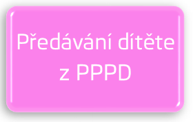 Předávání z PPPD